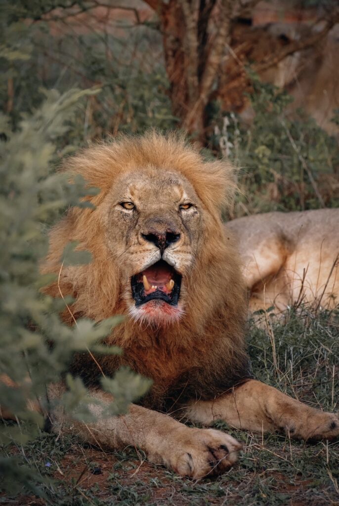 Travel South Africa - the ultimate south african group trip experience