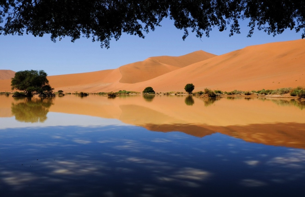 the desert dunes in Sossusvlei, Namibia
